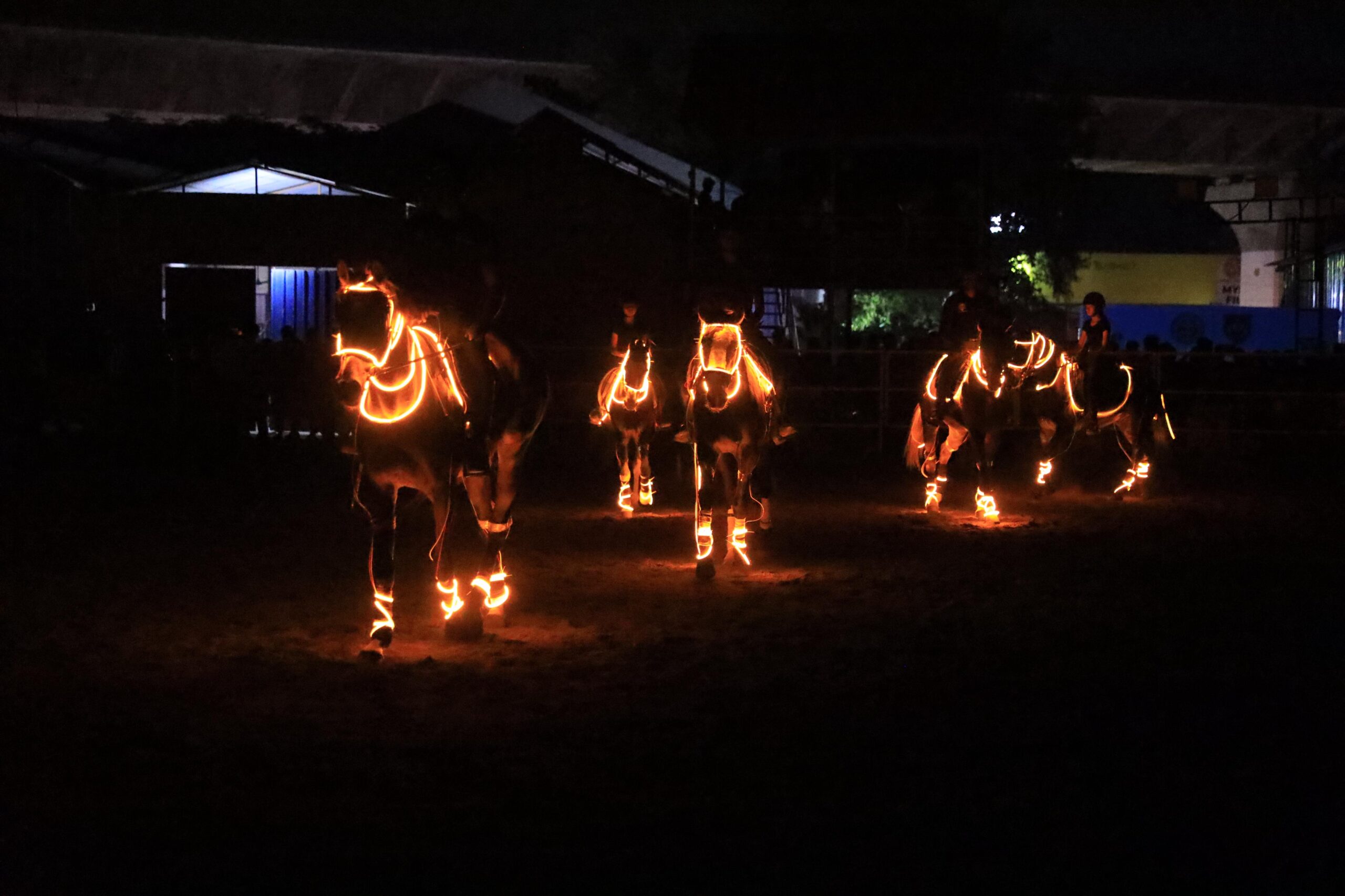 Equilumina